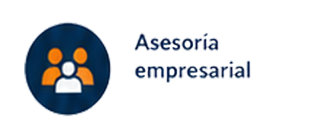 asesoría empresarial